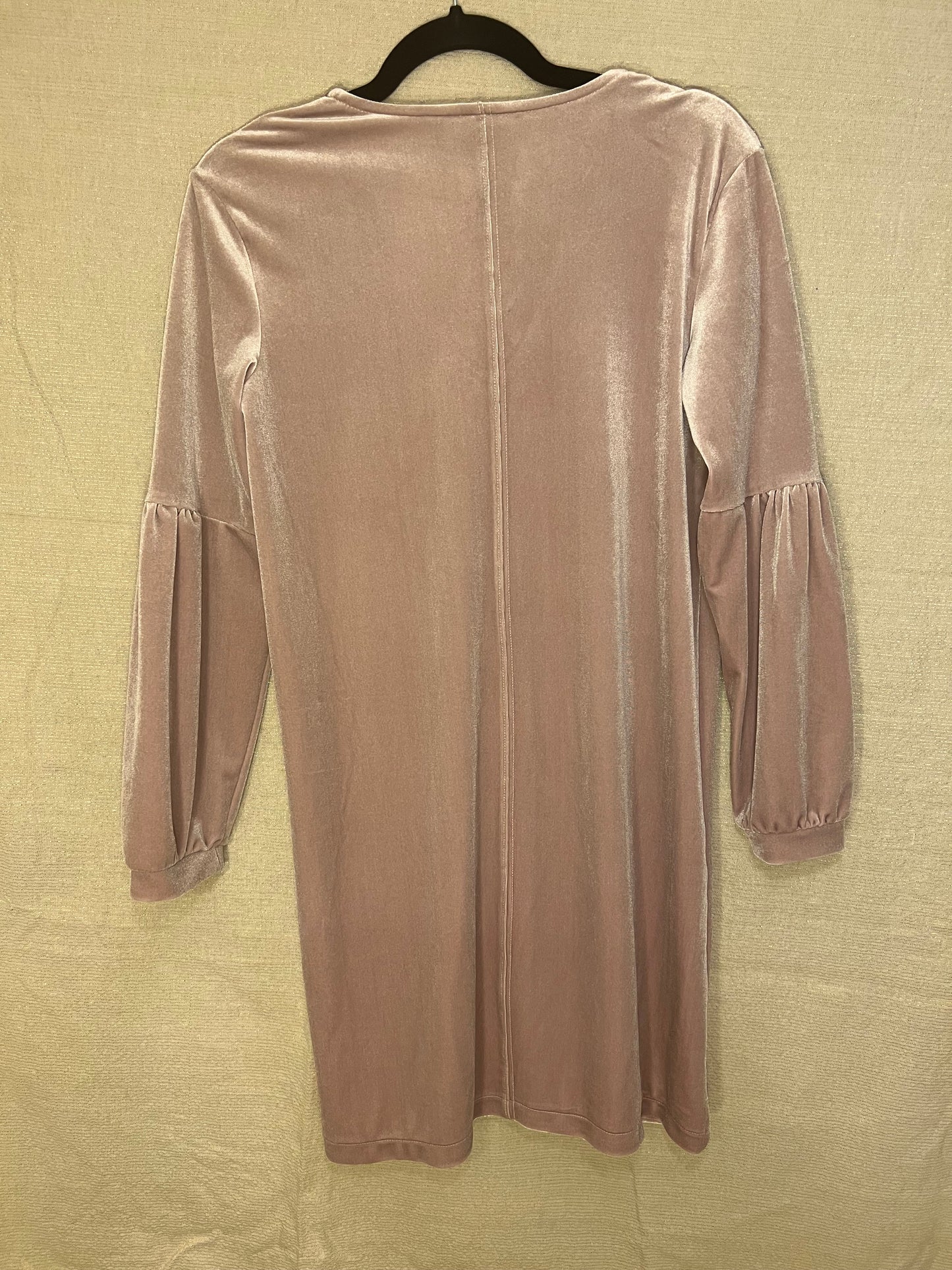 Madewell NWT Pink Velvet Dress