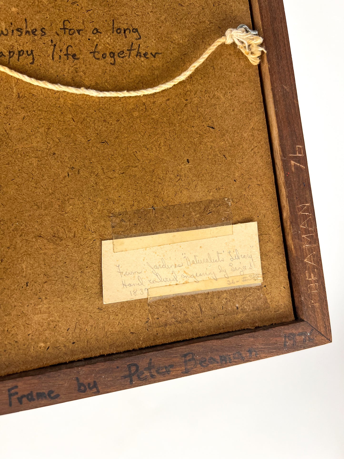 1837 Butterfly engraving - Beaman