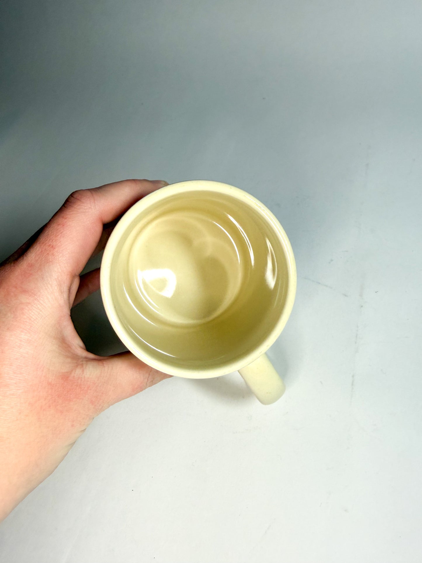 Vintage 1994 Mt. Rainier Nat. Park Mug