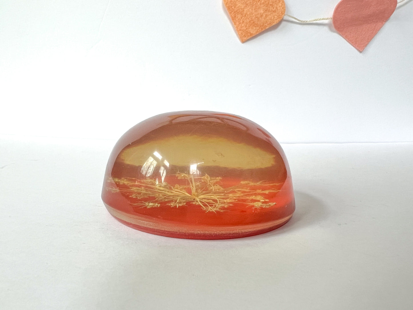 Lucite & Dried Floral Paperweight