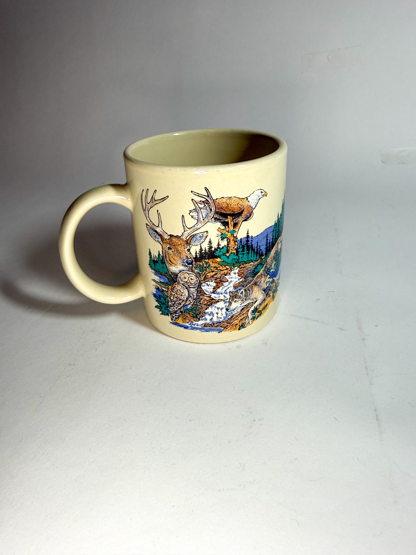 Vintage 1994 Mt. Rainier Nat. Park Mug
