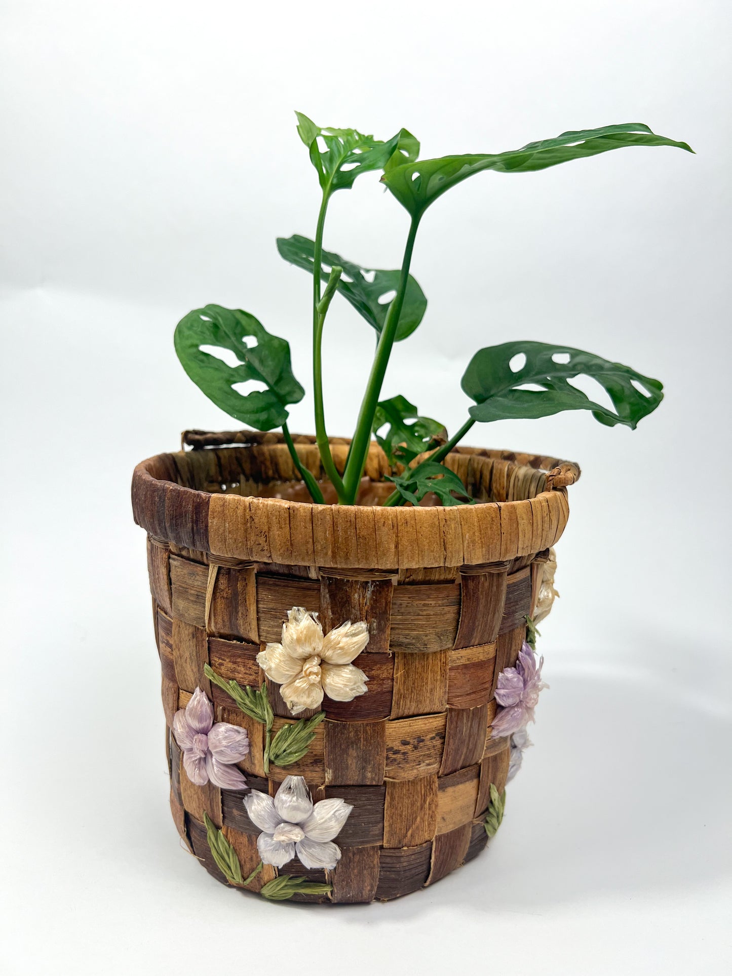 Raffia Embroidered Planter Basket