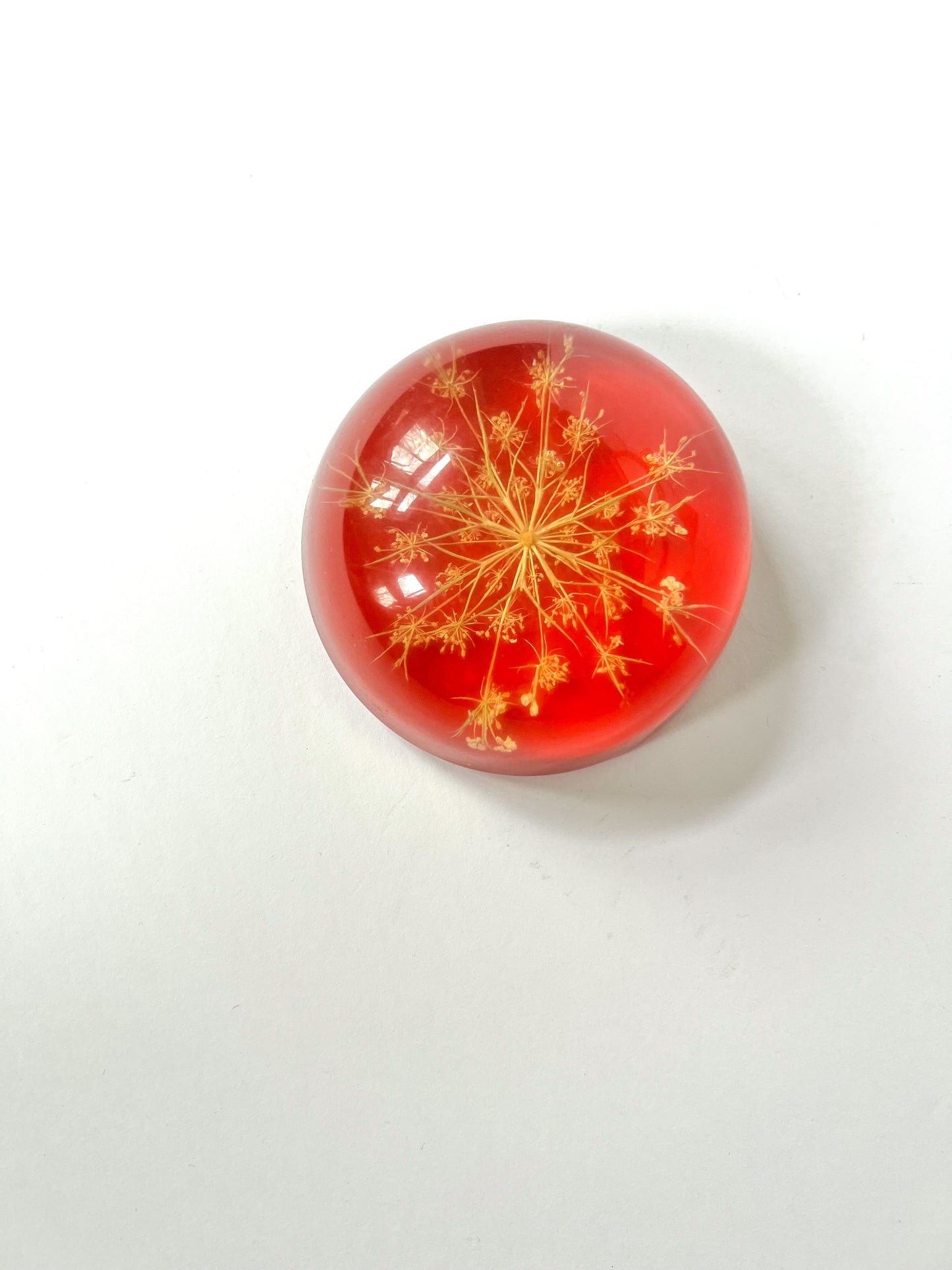 Lucite & Dried Floral Paperweight