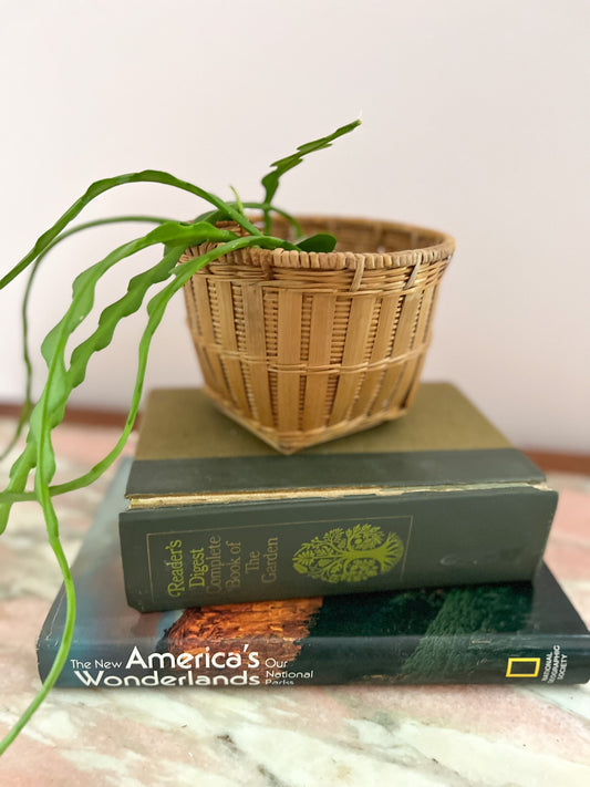 Mini Planter Basket