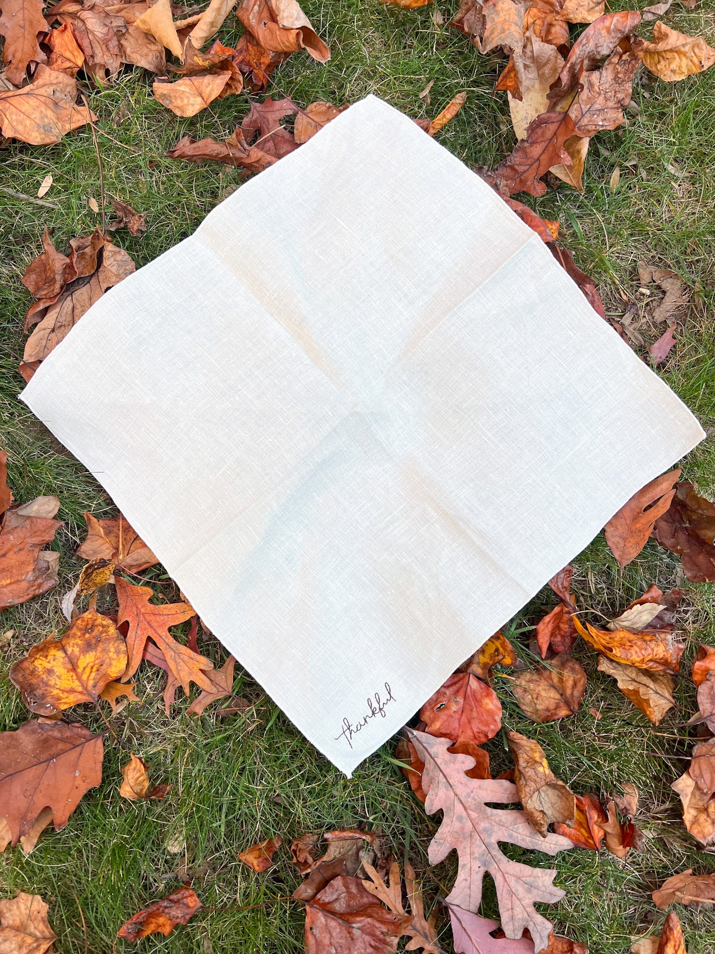 Set of 4 Thanksgiving Napkins