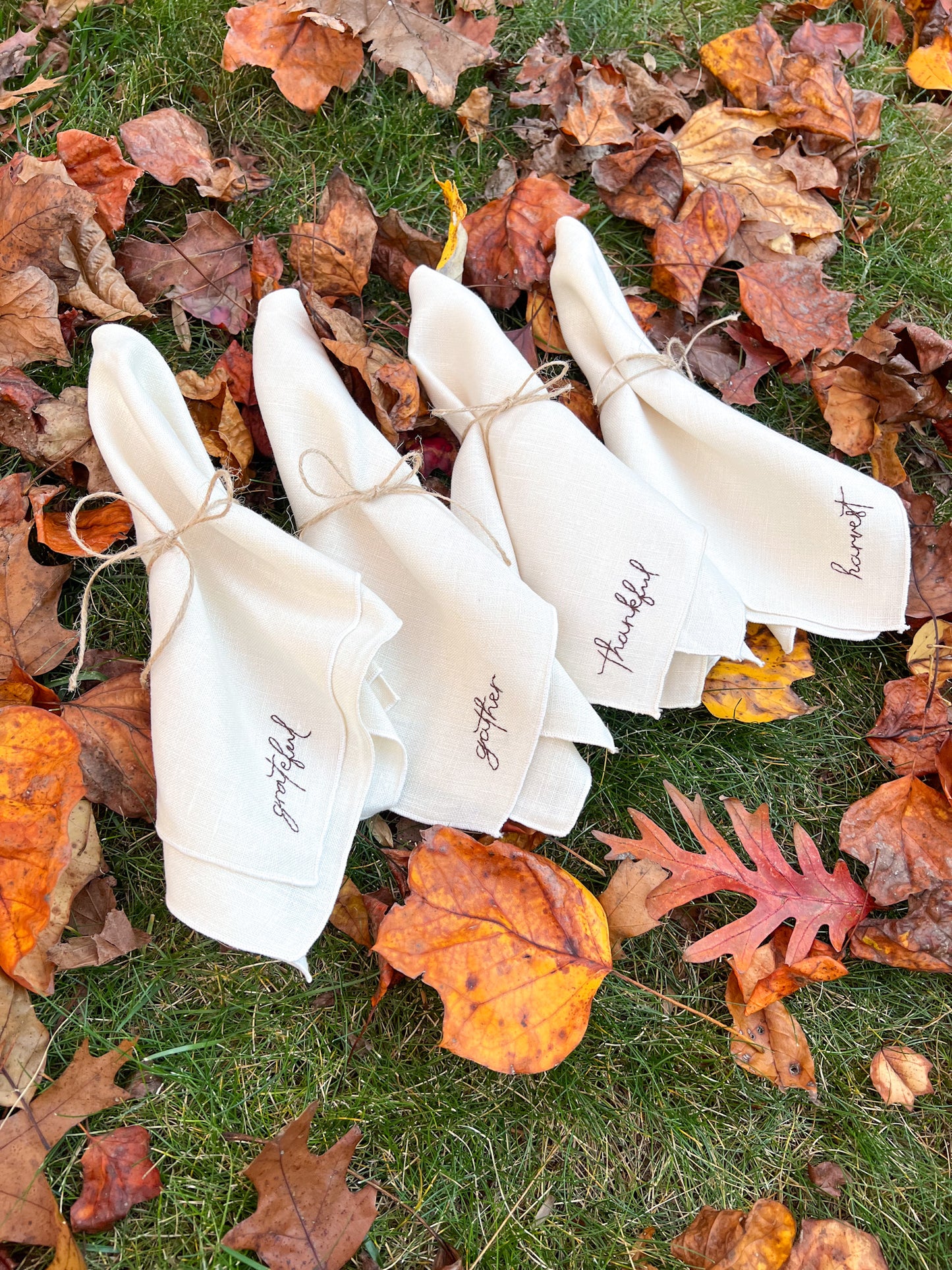 Set of 4 Thanksgiving Napkins